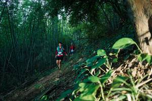 BIB: 
                            <button type="button" onclick="openModal(28123872)" class="btn btn-primary btn-sm float-right btn-popup" data-toggle="modal" data-target=".modal-high-quality">
                        <i class="fas fa-shopping-cart"></i> Add to Cart
                    </button>
                                            <button type="button" onclick="isThisMe(28123872, true)" class="btn btn-success btn-sm float-right btn-popup btn-isme hidden" data-toggle="tooltip" data-placement="bottom" title="นี่คือรูปของคุณใช่ไหม คลิกที่นี่เพื่อเอาเข้าอัลบั้ม">
                        <i class="fas fa-plus"></i> Add to album
                    </button>
                    <button type="button" onclick="isThisMe(28123872, false)" class="btn btn-warning btn-sm float-right btn-popup btn-isnotme hidden">
                        <i class="fas fa-ban"></i> Remove from album
                    </button>